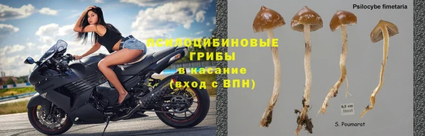 МДПВ Волоколамск