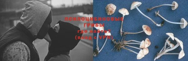 МДПВ Волоколамск