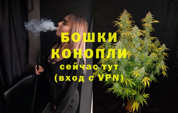соль ск Волосово