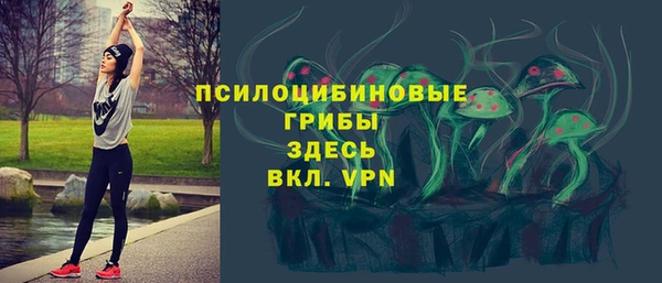 не бодяженный Володарск